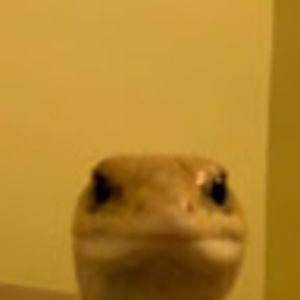 Meet your Posher, Nam